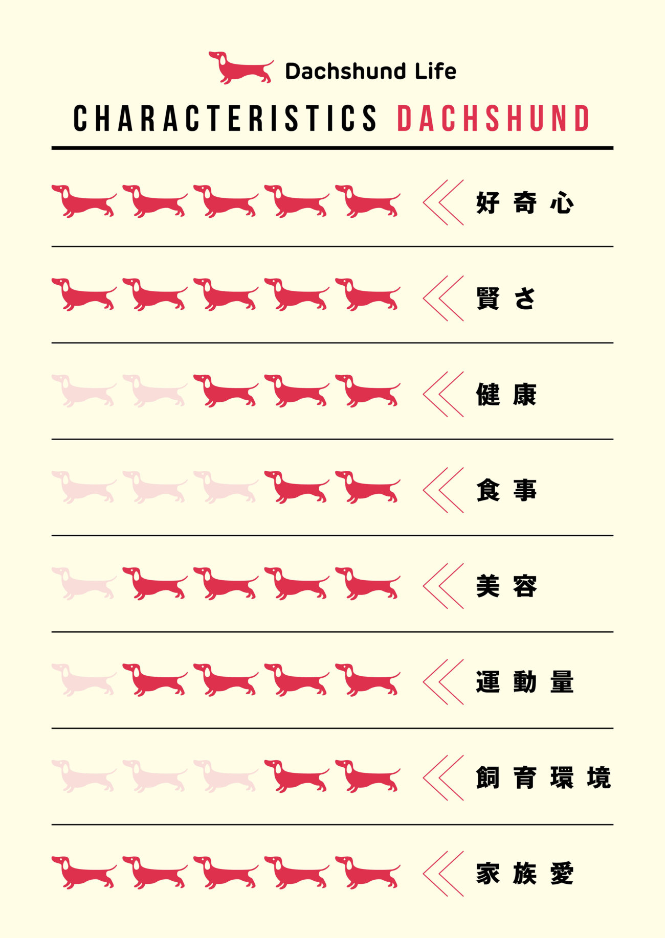 ダックスフンド,基本情報