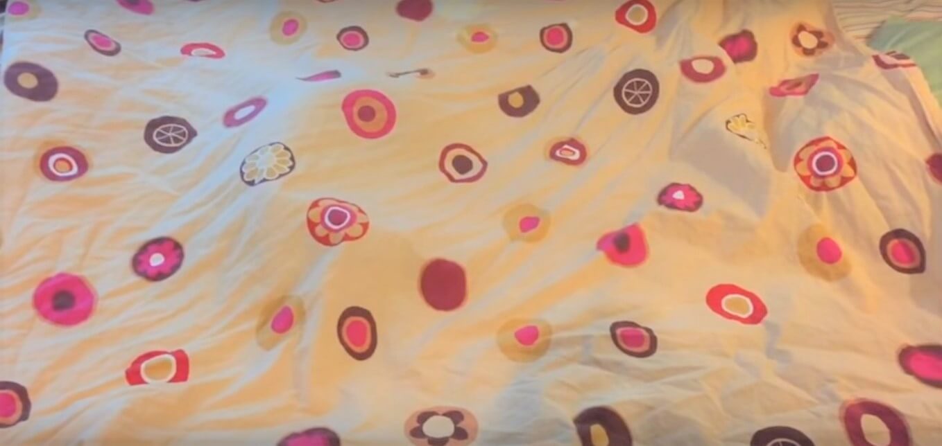 ダックスフンド,動画