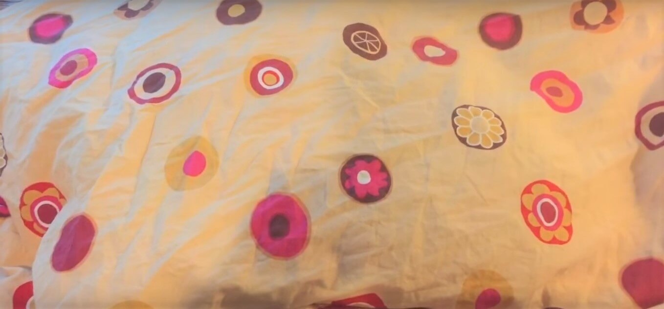 ダックスフンド,動画