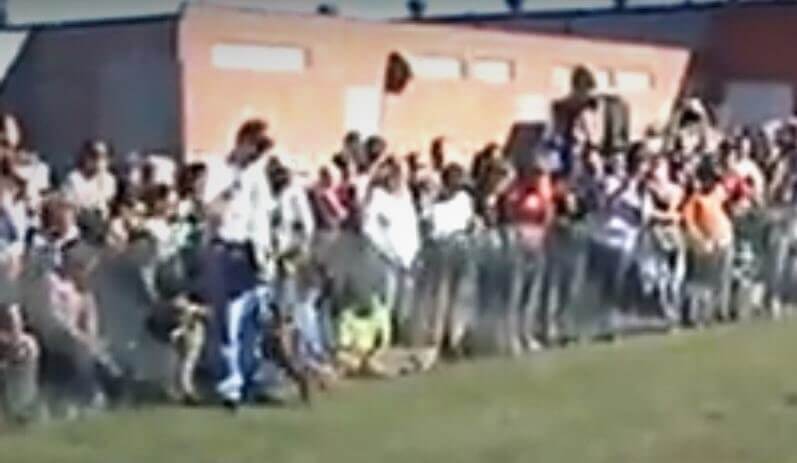 ダックスフンド,動画