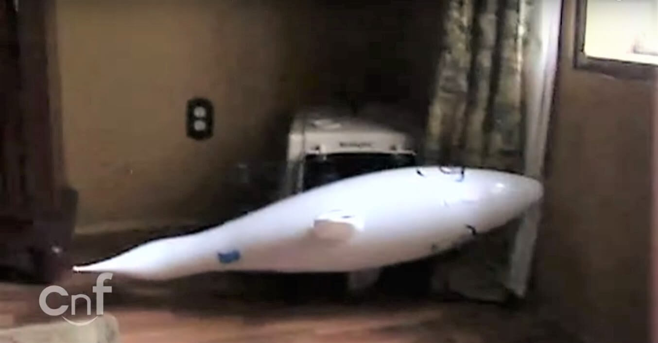 ダックスフンド,動画