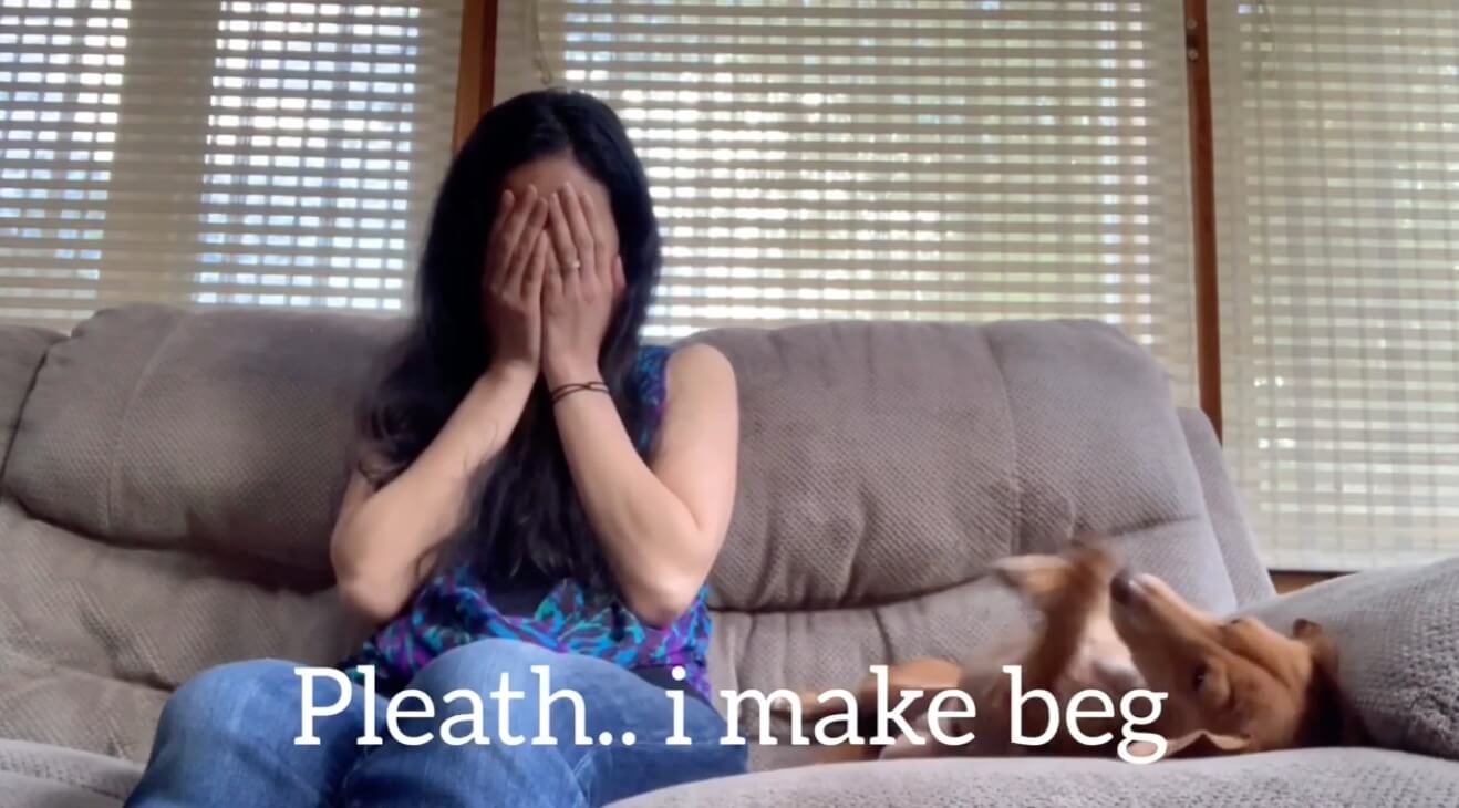 ダックスフンド,動画