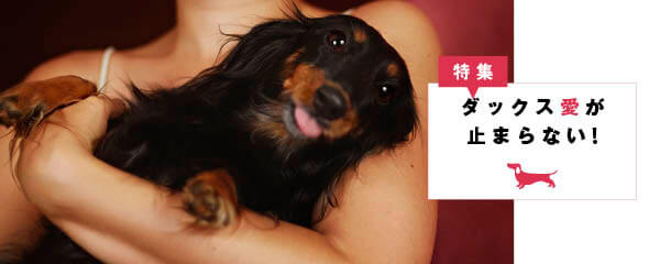 【特集】ダックス愛が止まらない！