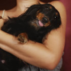 【特集】ダックス愛が止まらない！