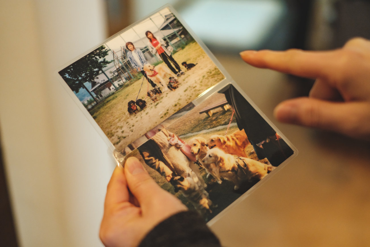 ダックスフンド,シニア,ほたる