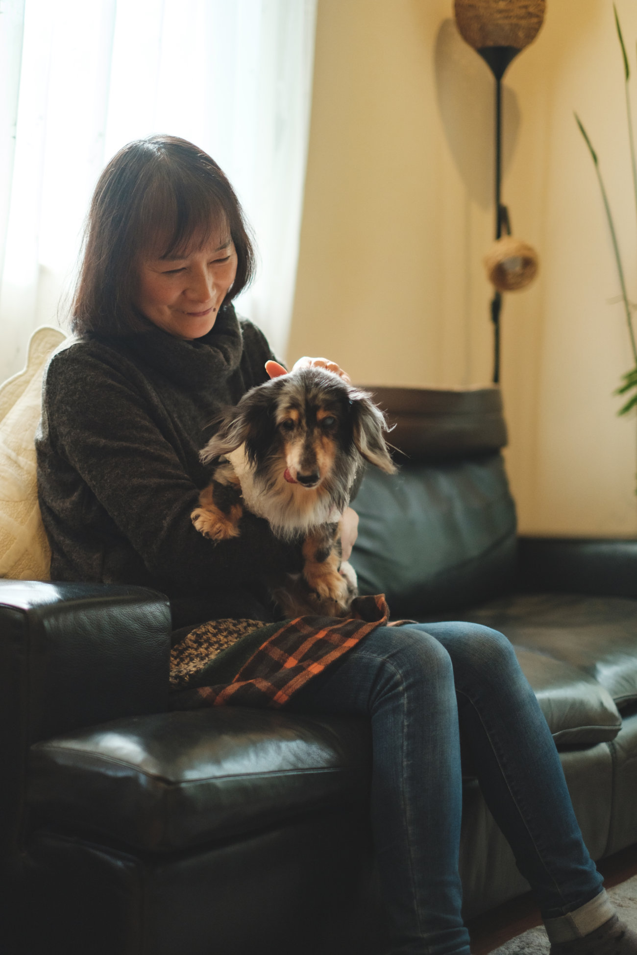 ダックスフンド,シニア,ほたる