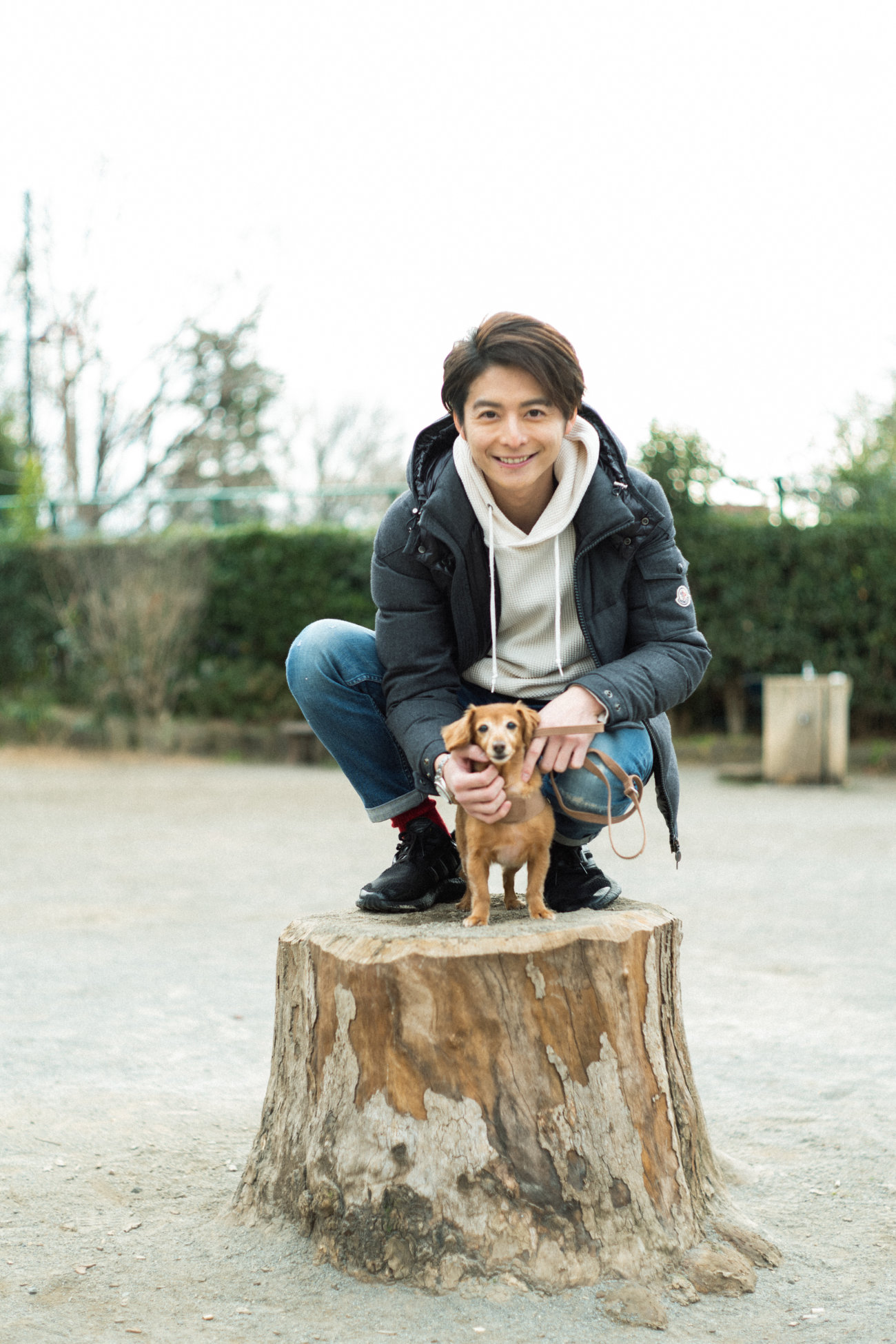 ダックスフンド,小池徹平