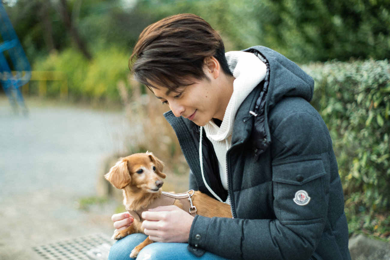 ダックスフンド,小池徹平