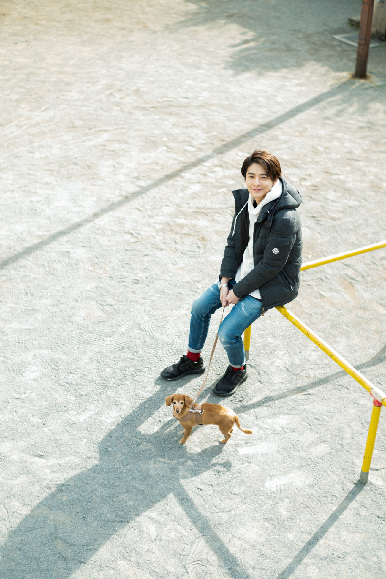 ダックスフンド,小池徹平