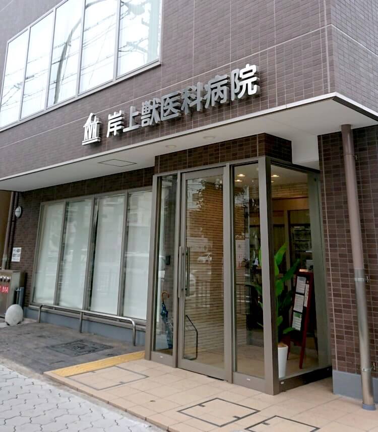 ダックスフンド,ヘルニア