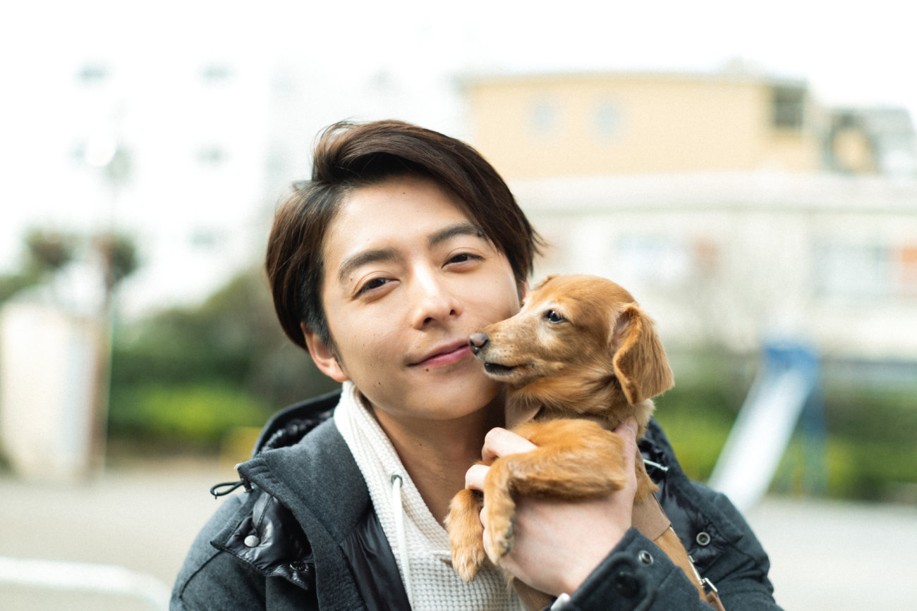 ダックスフンド,小池徹平