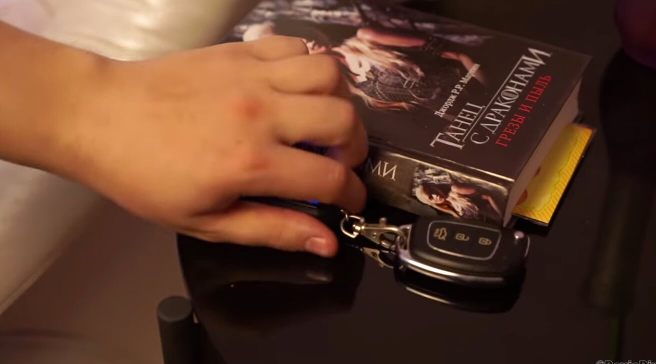 ダックスフンド,動画