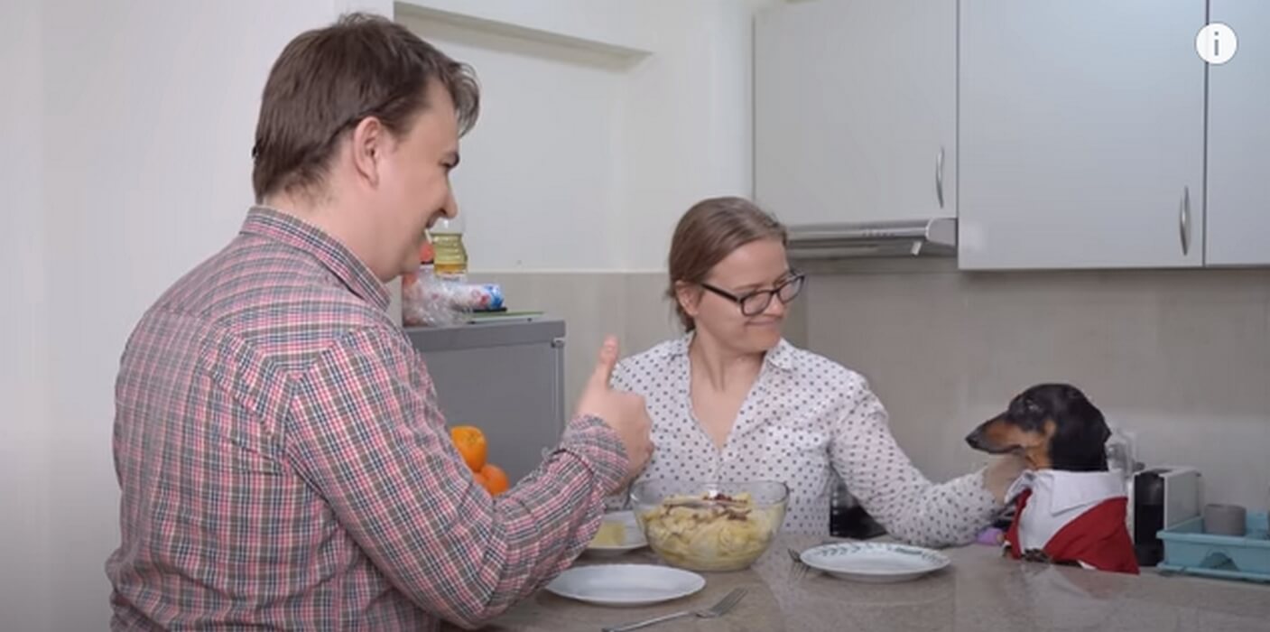 ダックスフンド,動画