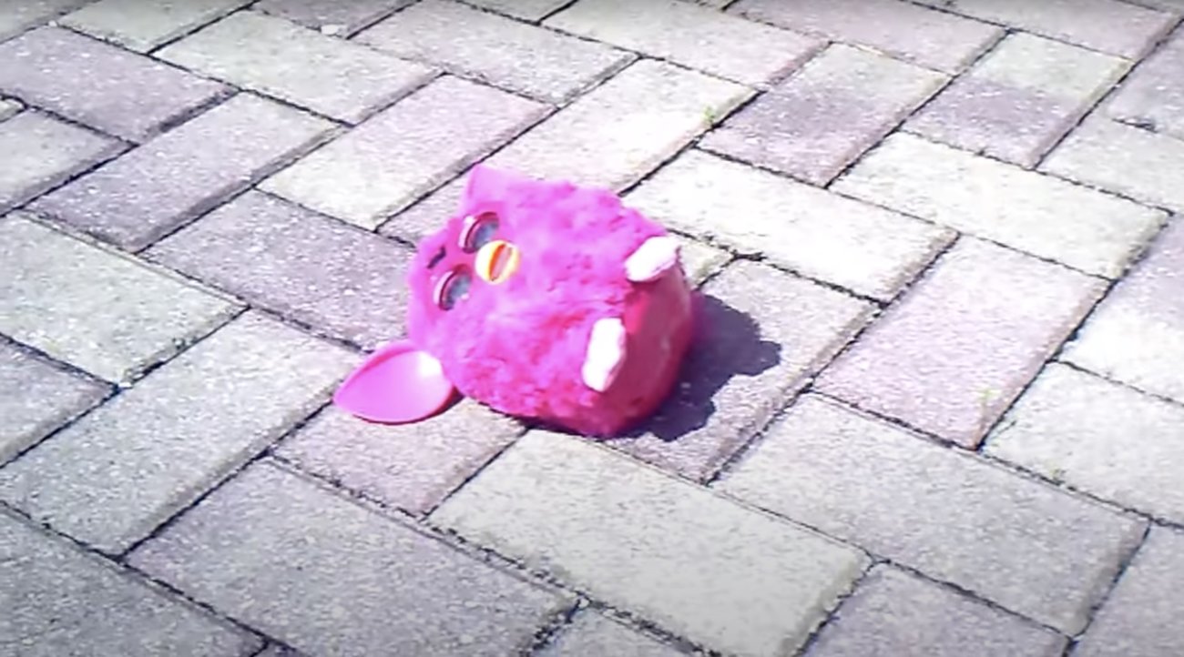 ダックスフンド,動画