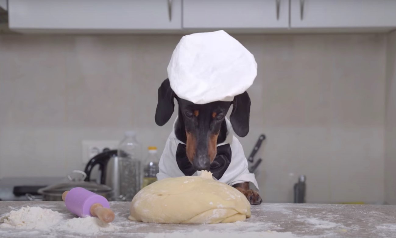 ダックスフンド,料理