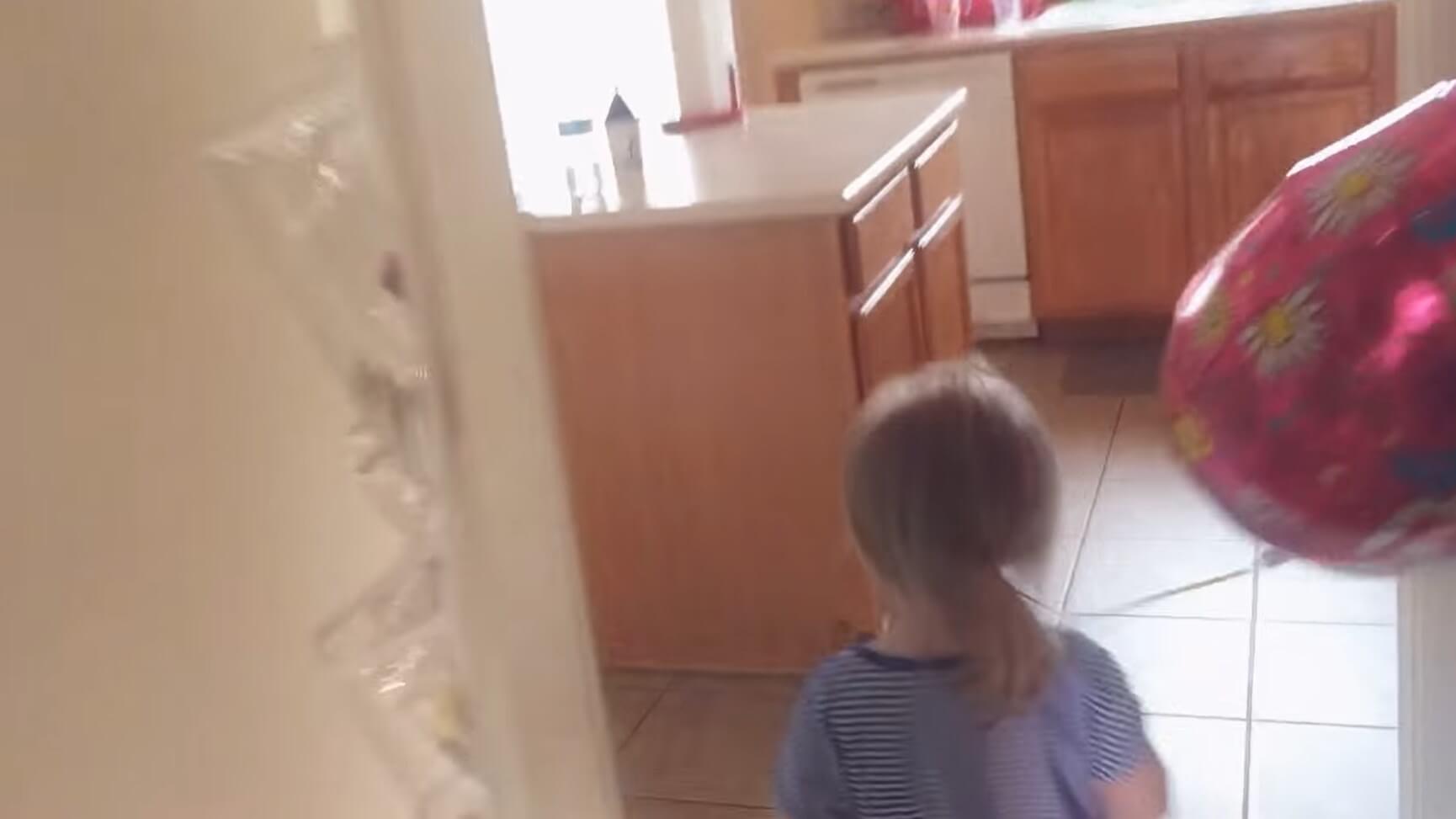 ダックスフンド,動画