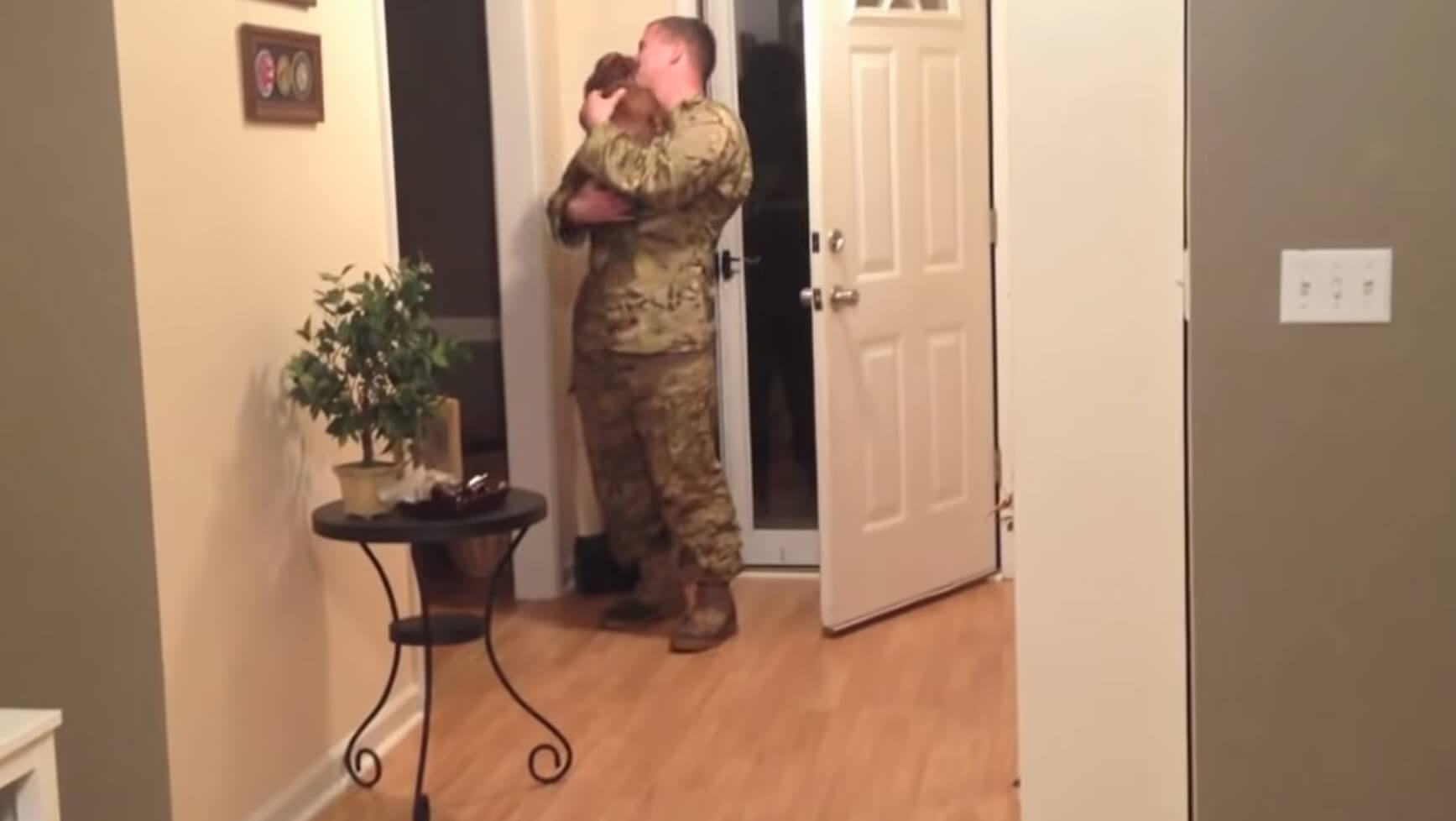 ダックスフンド,動画