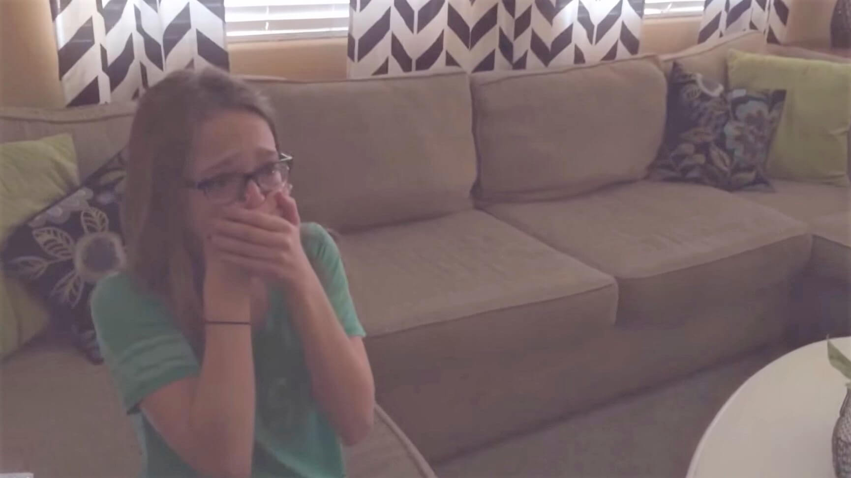 ダックスフンド,動画