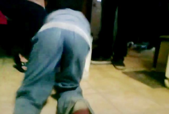 ダックスフンド,動画