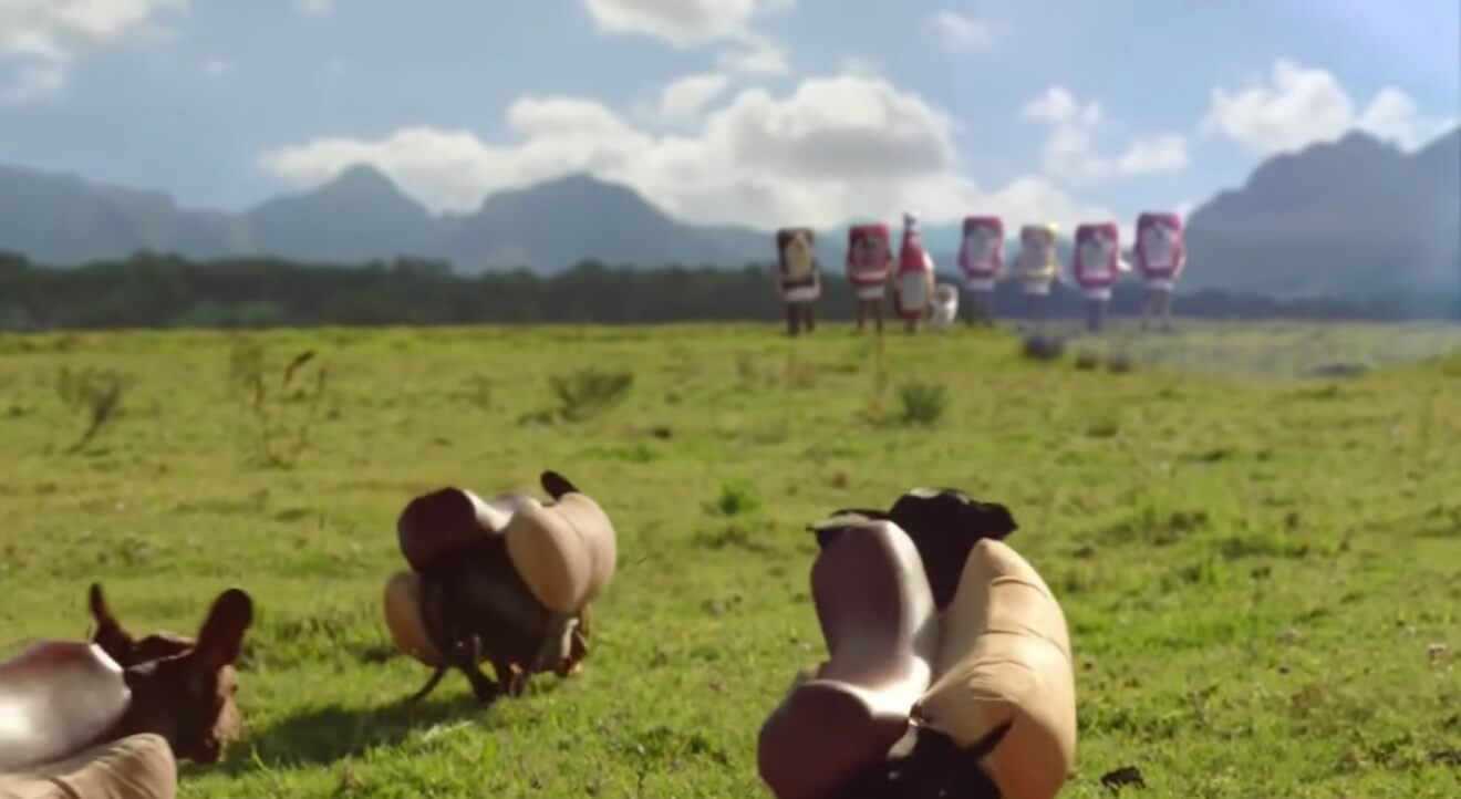 ダックスフンド,動画