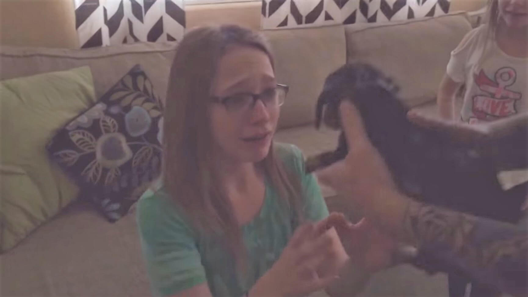 ダックスフンド,動画