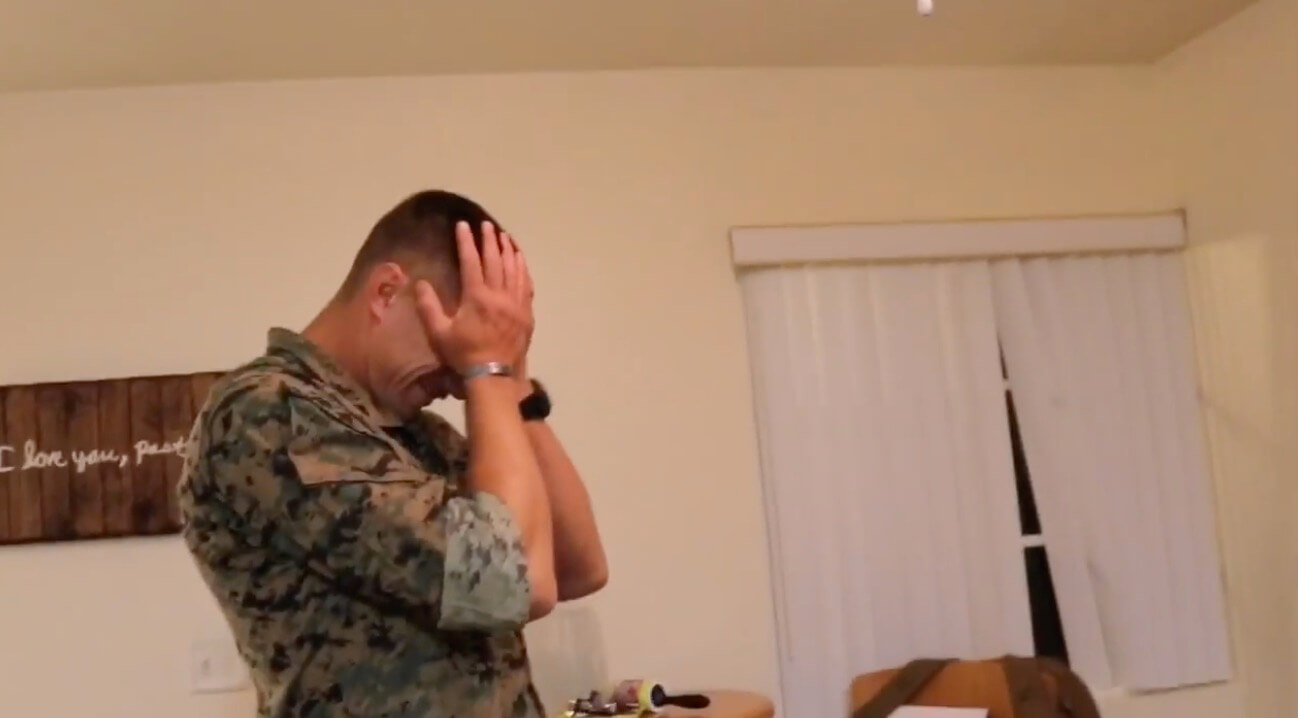 ダックスフンド,動画