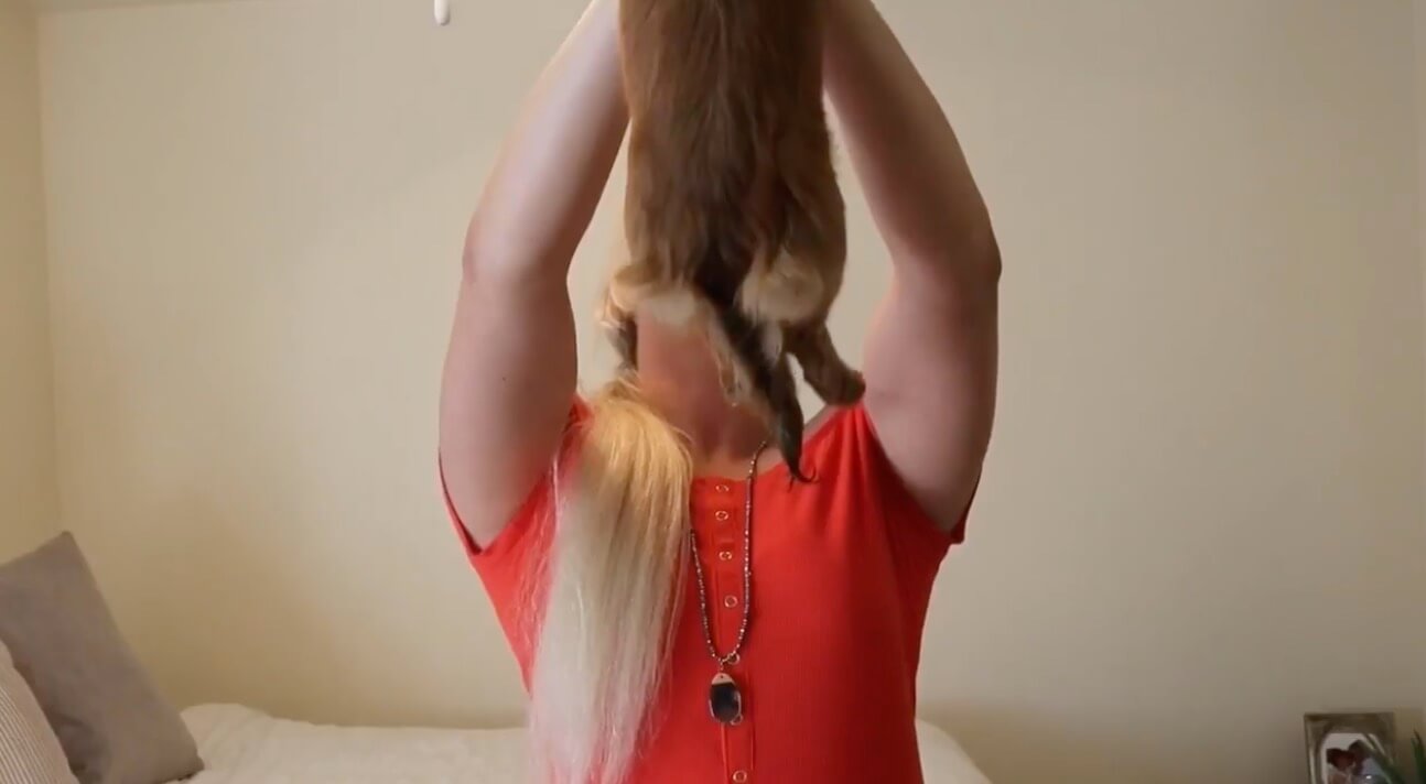 ダックスフンド,動画