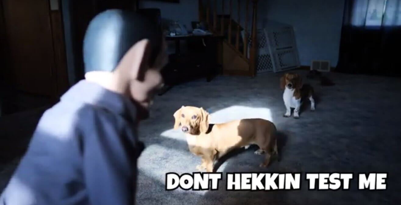 ダックスフンド,動画