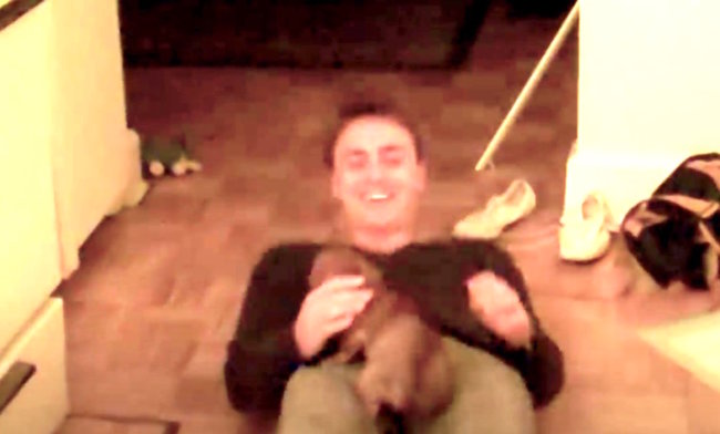 ダックスフンド,動画