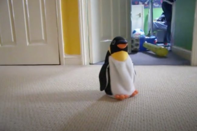 ダックスフンド,動画