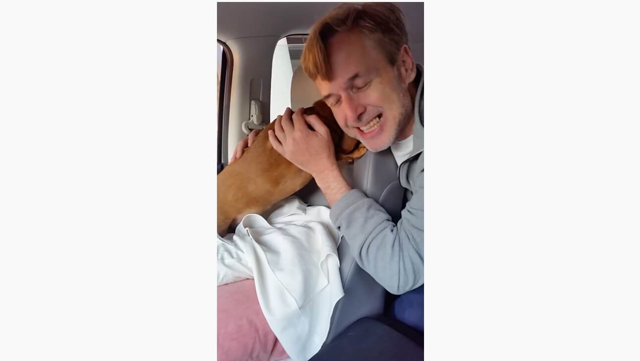 ダックスフンド,動画