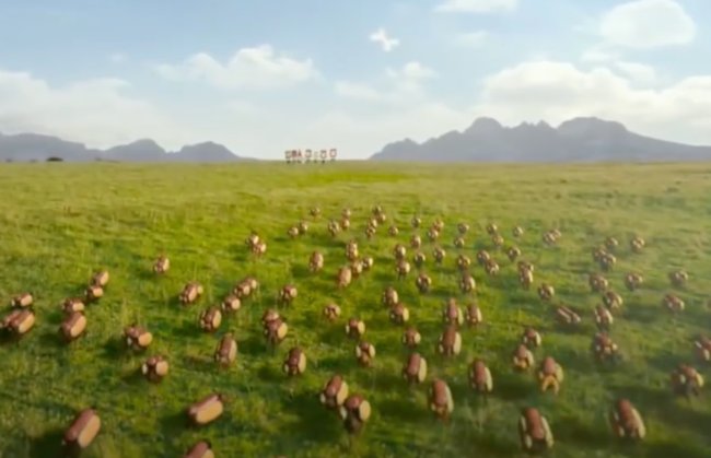 ダックスフンド,動画