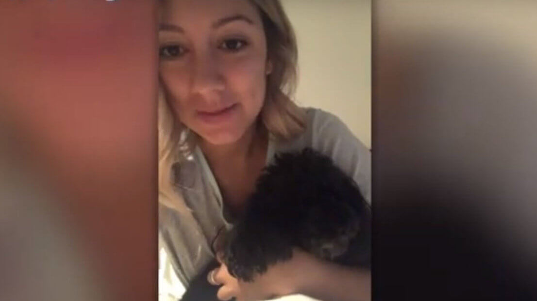 ダックスフンド,動画