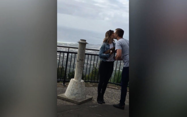 ダックスフンド,動画