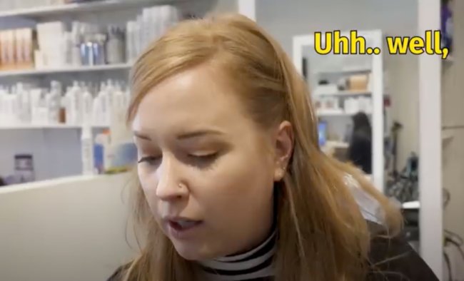 ダックスフンド,動画