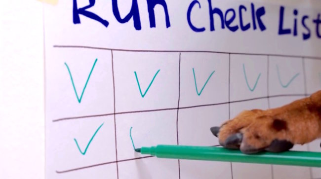 ダックスフンド,動画