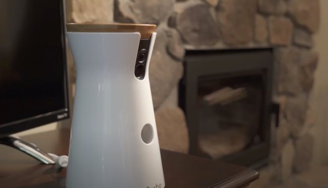 ダックスフンド,動画