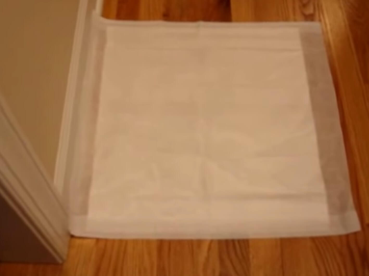 ダックスフンド,動画