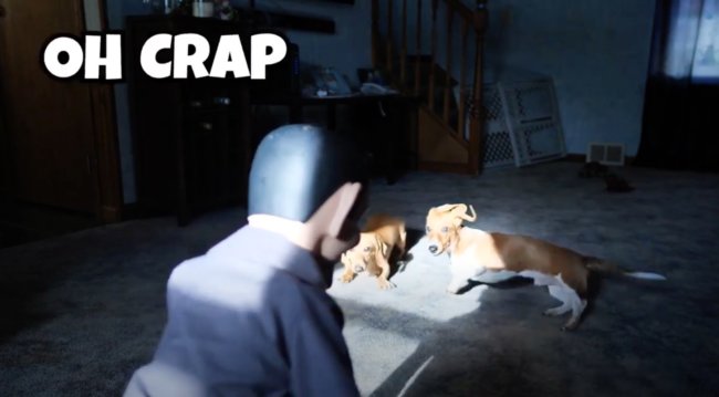 ダックスフンド,動画