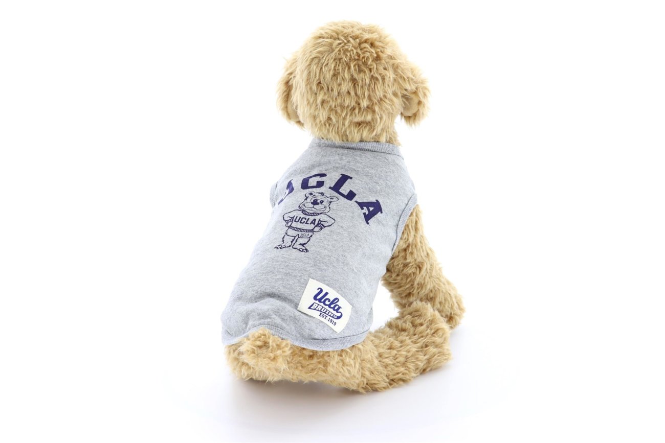 ダックスフンド,洋服,ラグーナクロージング