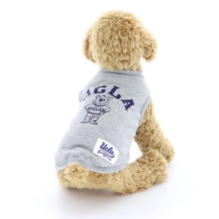 UCLAベアードッグウェア