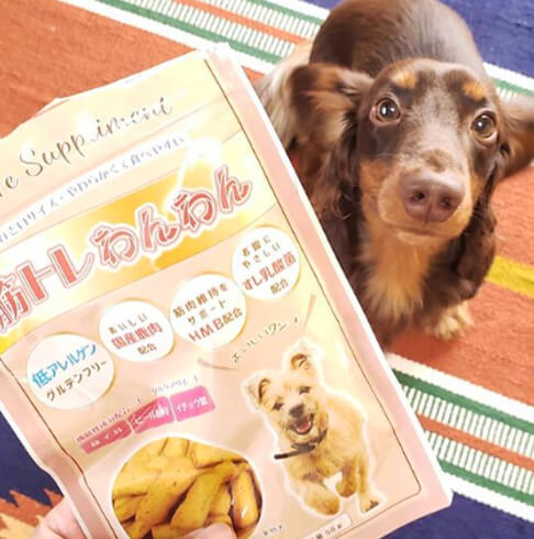 ダックスフンド,サプリ,筋トレわんわん