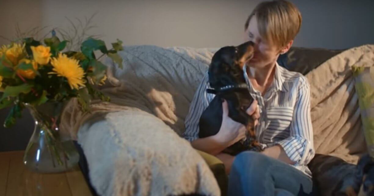 ダックスフンド,動画