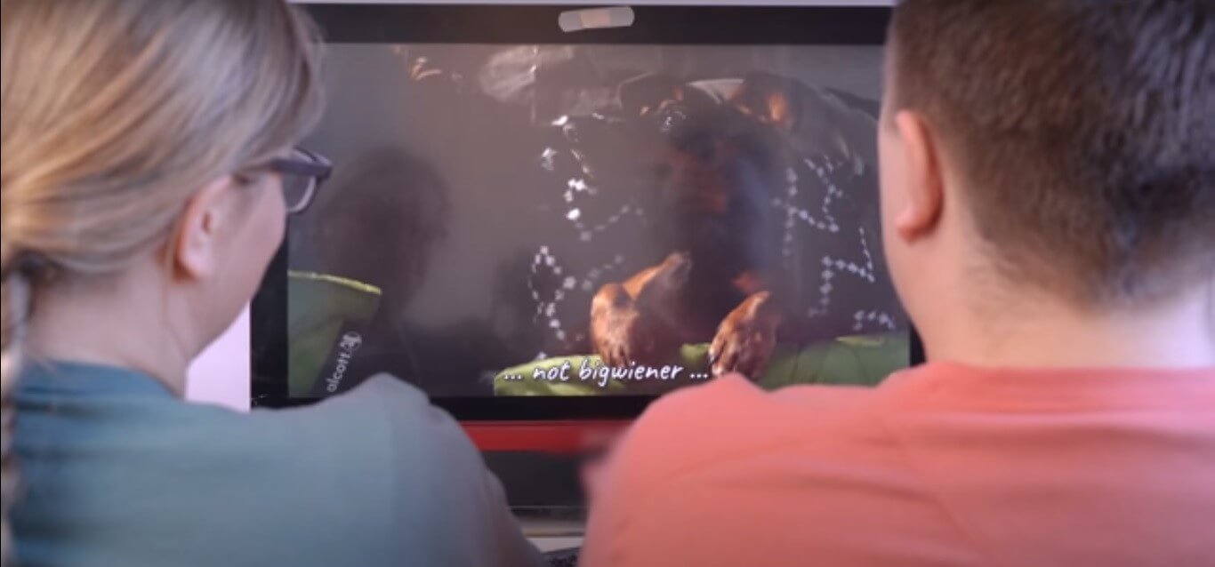 ダックスフンド,動画