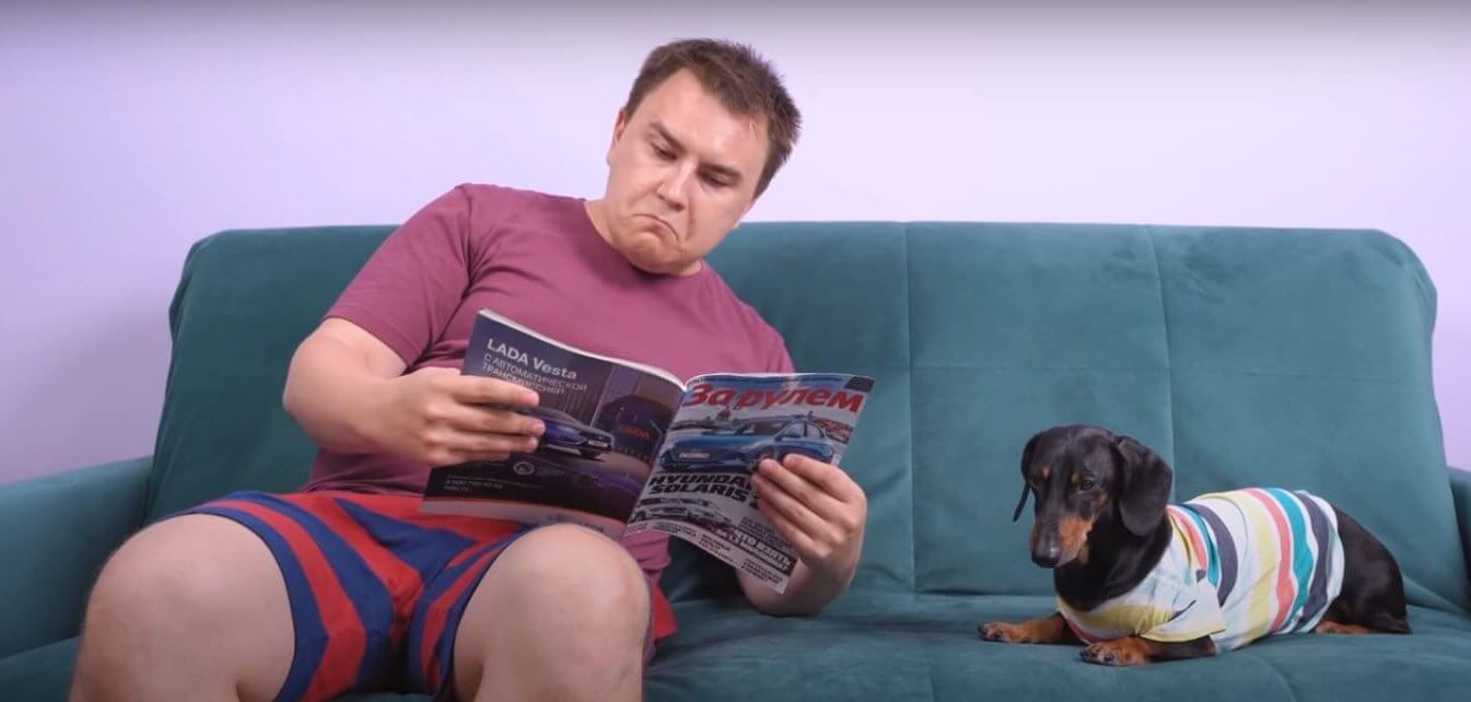 ダックスフンド,動画