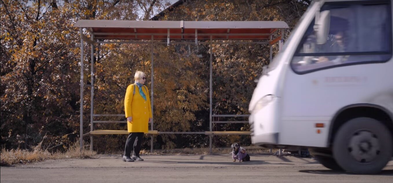 ダックスフンド,動画