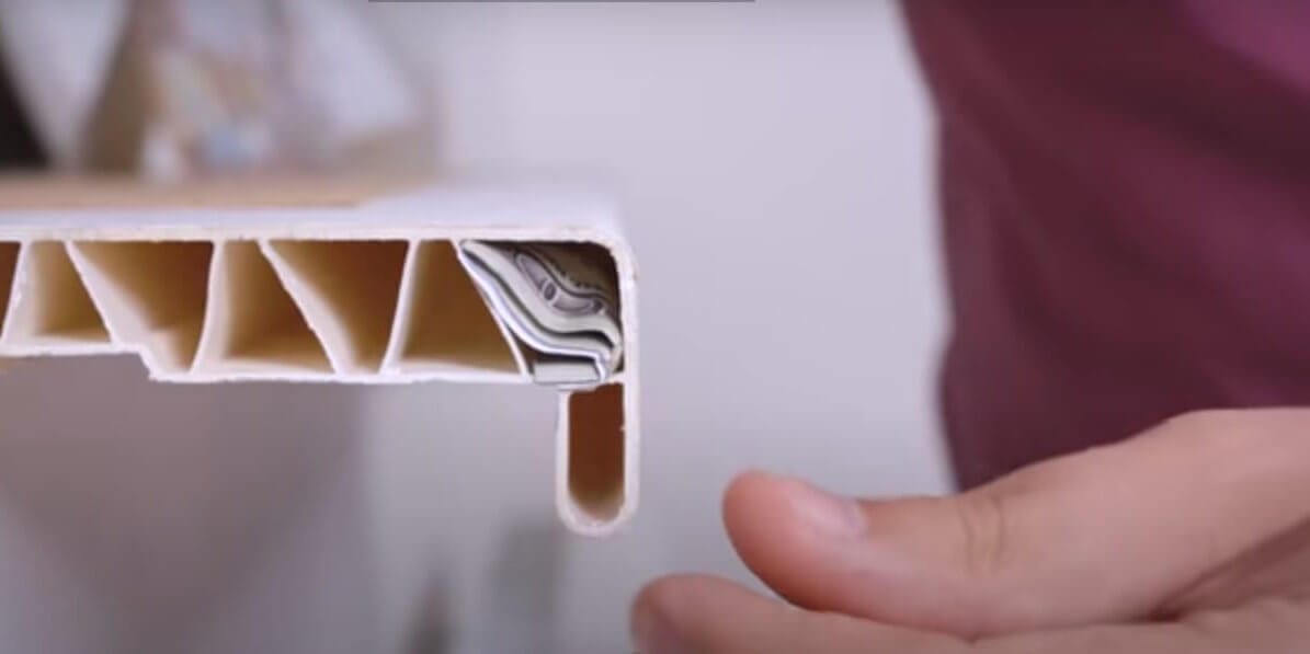 ダックスフンド,動画