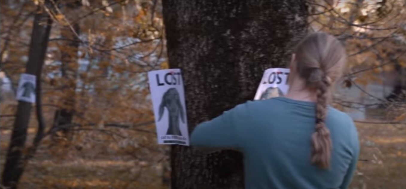 ダックスフンド,動画