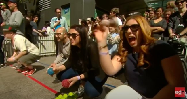 ダックスフンド,動画