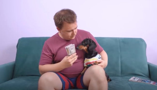 ダックスフンド,動画